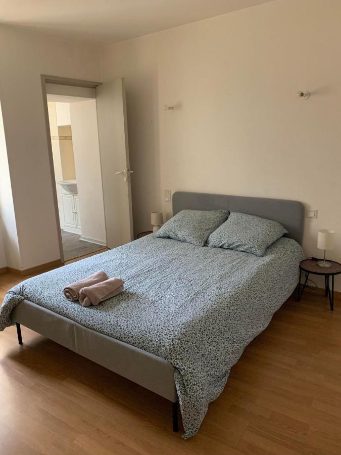 Ravissant Appartement T3 Hypercentre De Mazamet Buitenkant foto